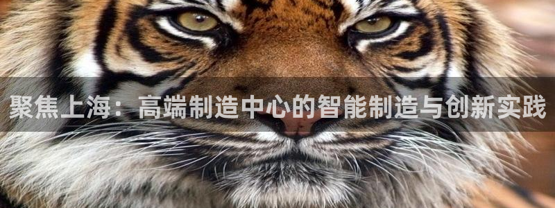 天辰娱乐简介
