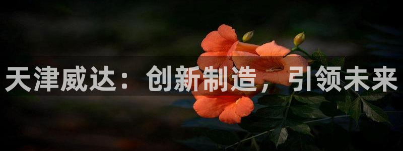 天辰娱乐股东