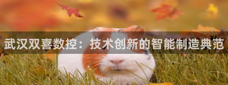 天辰娱乐链接