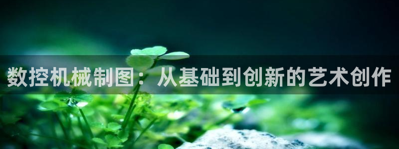 天辰娱乐APP下载
