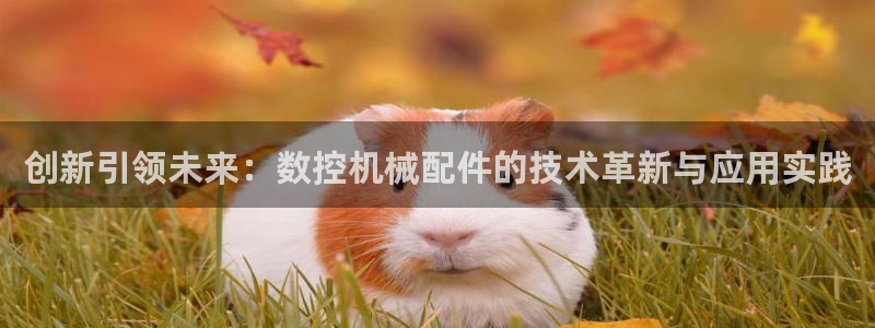 天辰娱乐好吗