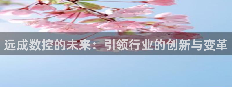 天辰娱乐总管