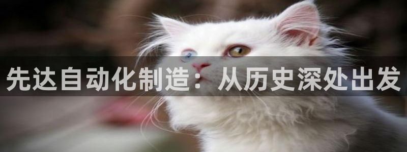 天辰天富娱乐登录