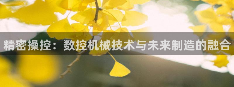 天辰娱乐老板