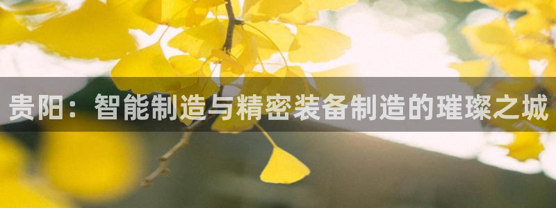 天辰娱乐44616