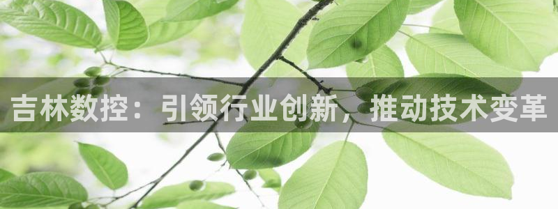 天辰娱乐内部