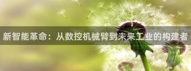 天辰娱乐股票