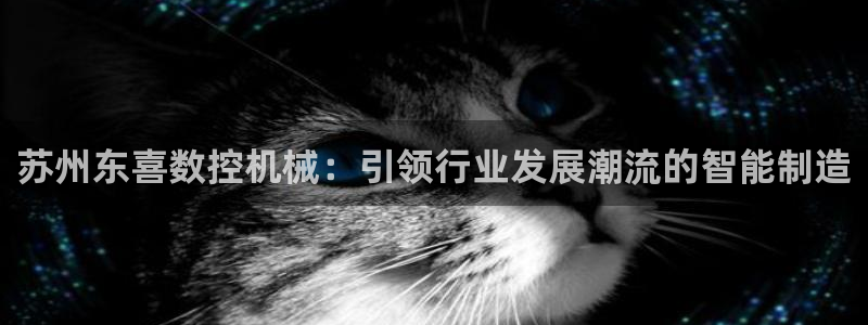 天辰娱乐2