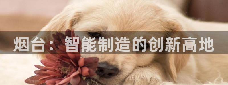天辰娱乐指定