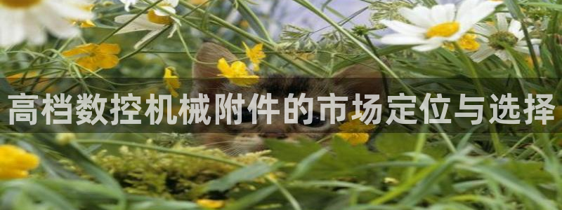 下载天辰娱乐