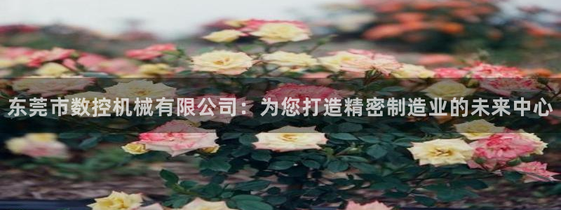 天辰娱乐网