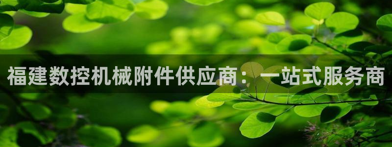 广东天辰娱乐