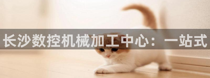 天辰娱乐 首选