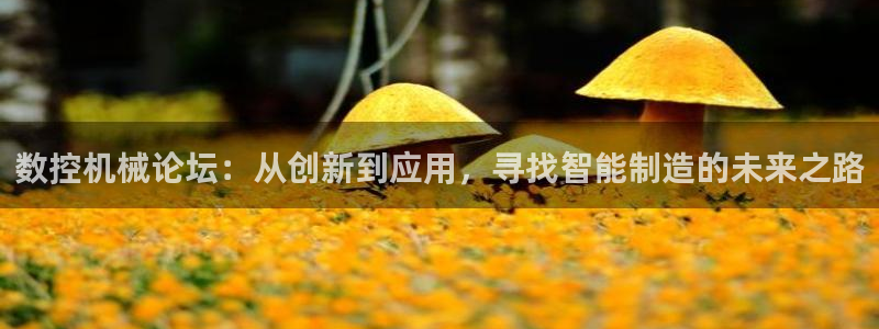 天富娱乐与天辰娱乐