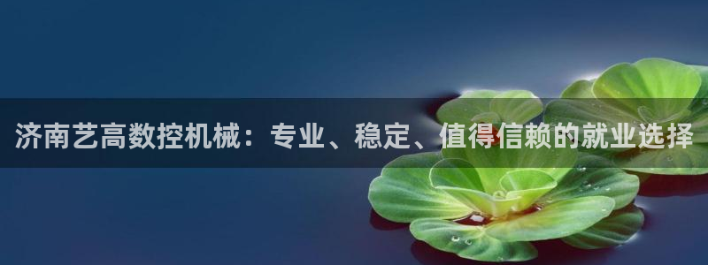 天辰娱乐平台app下载
