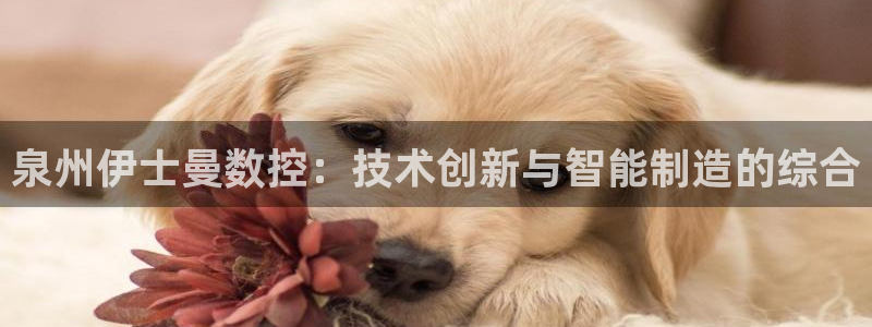 天辰娱乐557448