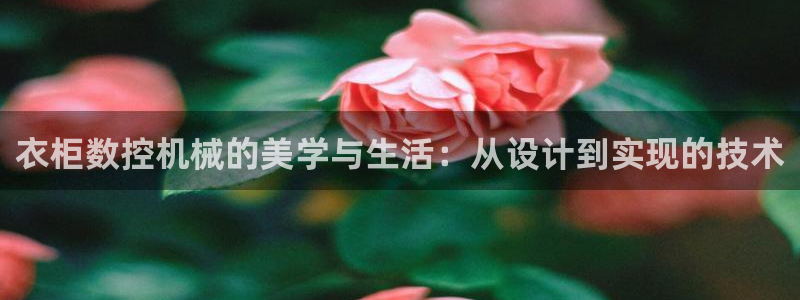 天辰娱乐557696