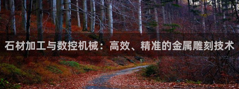 天辰娱乐下载链接