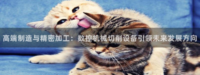 天辰娱乐分红