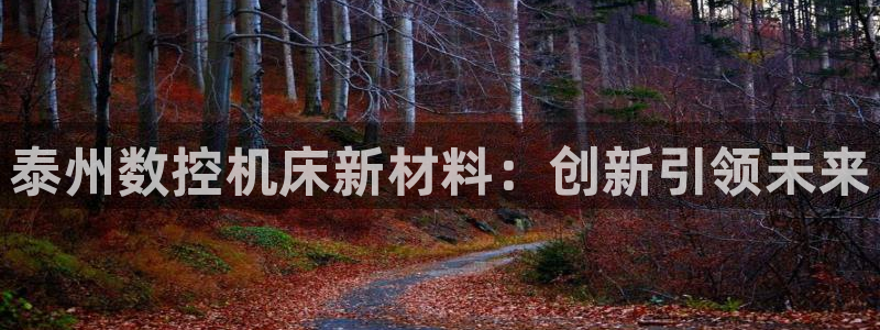 大同天辰娱乐