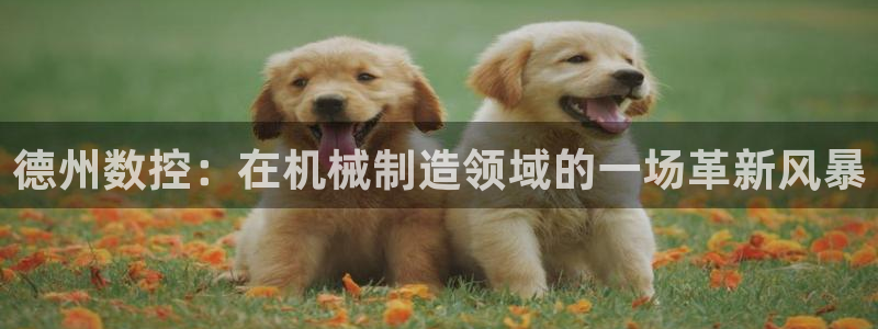天辰2娱乐