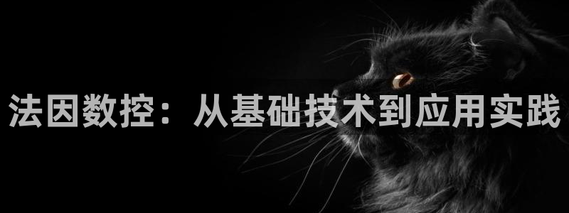 天辰线上娱乐：法因数控：从基础技术到应用实践
