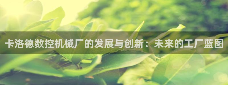天辰娱乐：卡洛德数控机械厂的发展与创新：未来的工厂蓝图
