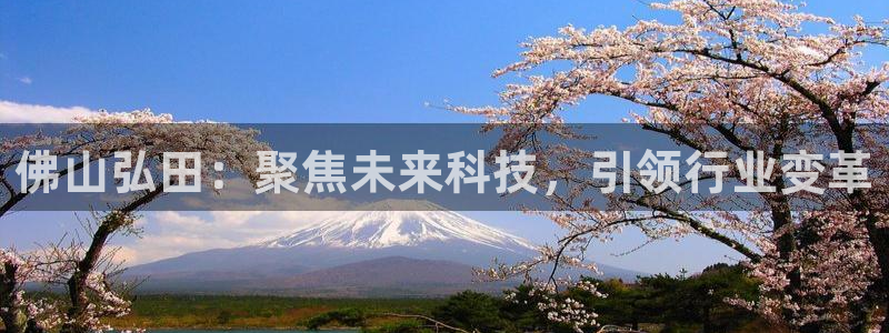 天辰娱乐欢乐：佛山弘田：聚焦未来科技，引领行业变革
