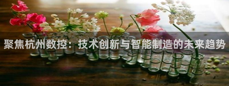 北京天辰娱乐：聚焦杭州数控：技术创新与智能制造的未来趋势