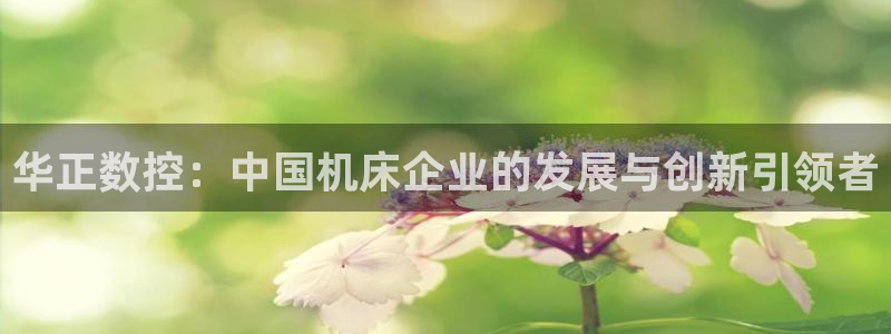 天辰娱乐平台app下载