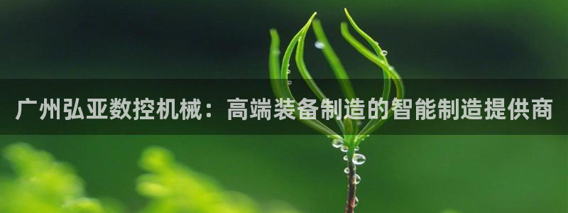 天辰2娱乐：广州弘亚数控机械：高端装备制造的智能制造提供商