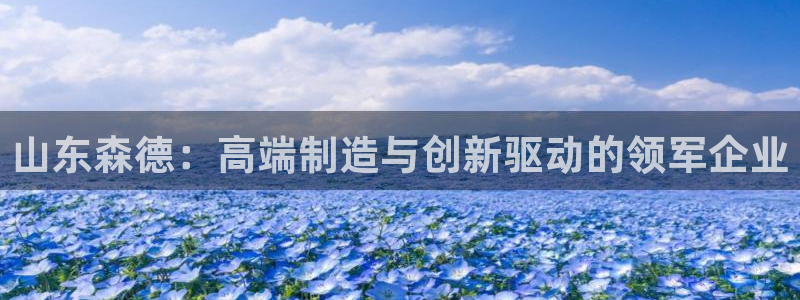 天辰娱乐股东