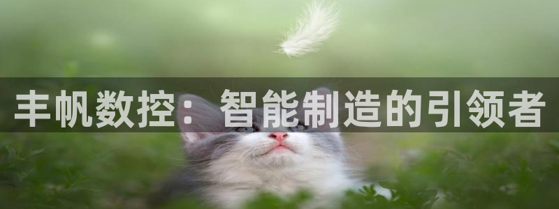 天辰娱乐老板
