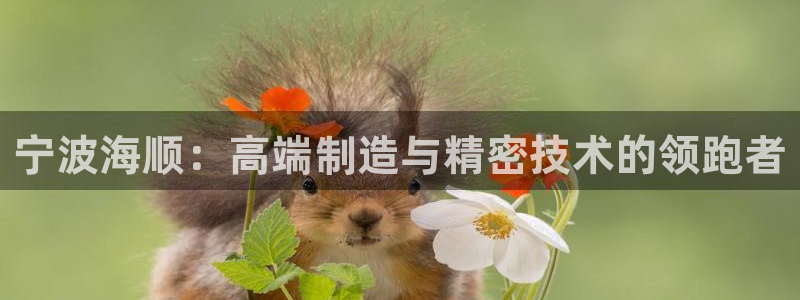天辰娱乐会所