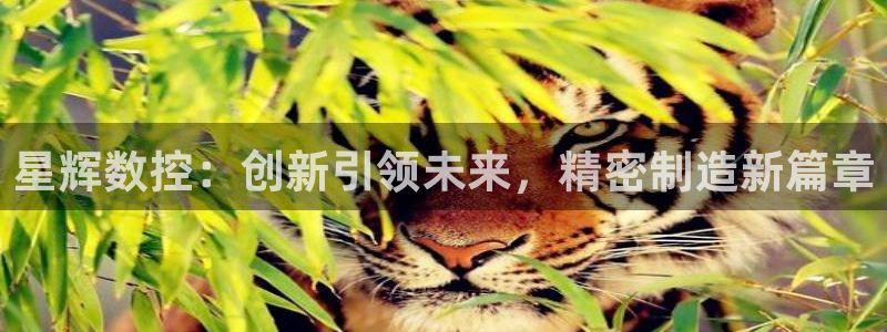 天辰娱乐国际：星辉数控：创新引领未来，精密制造新篇章