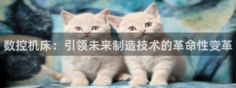 天辰娱乐反水