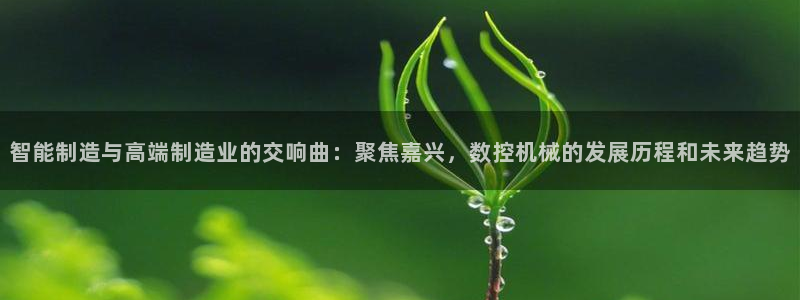天辰娱乐在线登录注册:智能制造与高端制造业的交响曲:聚焦嘉兴,数控机械的发展历程和未来趋势