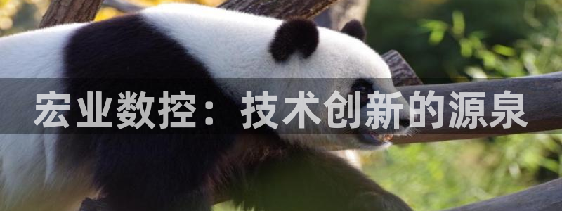 天辰娱乐网:宏业数控:技术创新的源泉