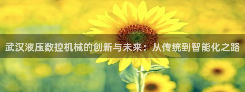 天辰娱乐说:武汉液压数控机械的创新与未来:从传统到智能化之路