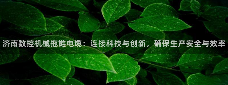 天辰娱乐_675138:济南数控机械拖链电缆:连接科技与创新,确保生产安全与效率