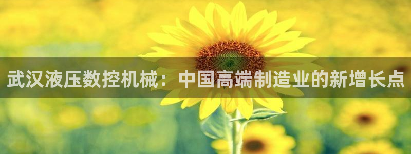 天辰娱乐娱乐
