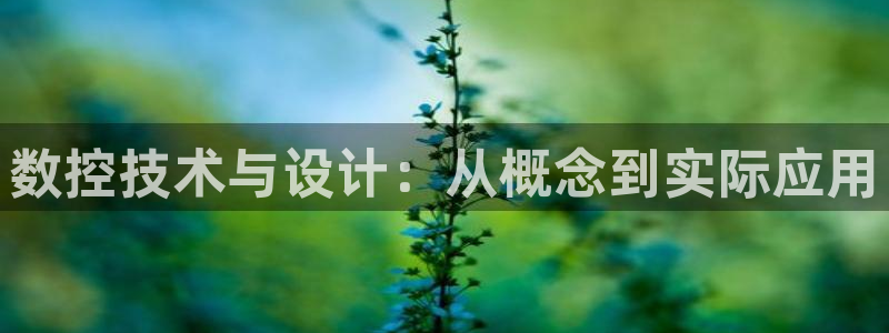天辰娱乐官方网