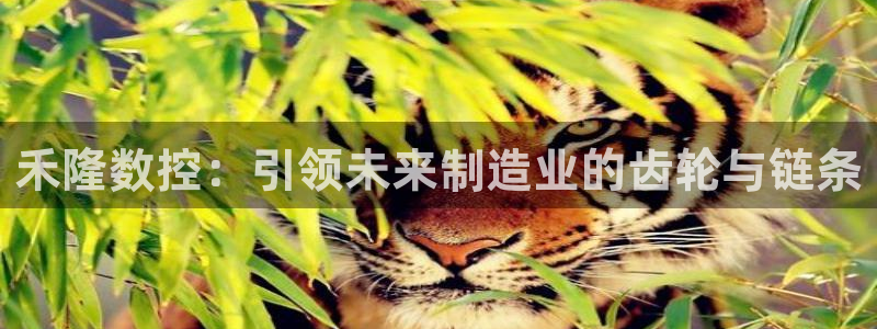 天辰娱乐直属