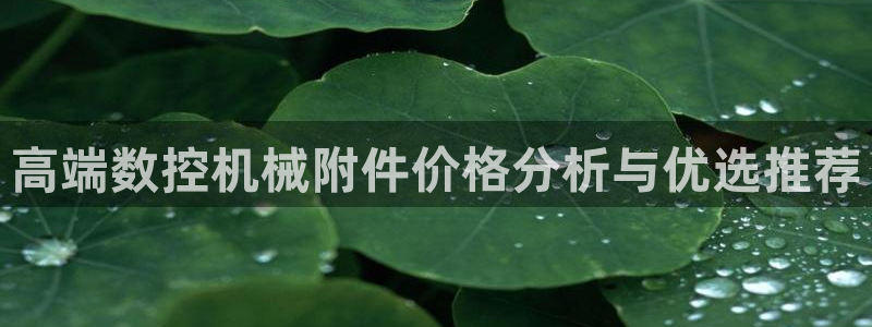 天辰娱乐扣钱：高端数控机械附件价格分析与优选推荐